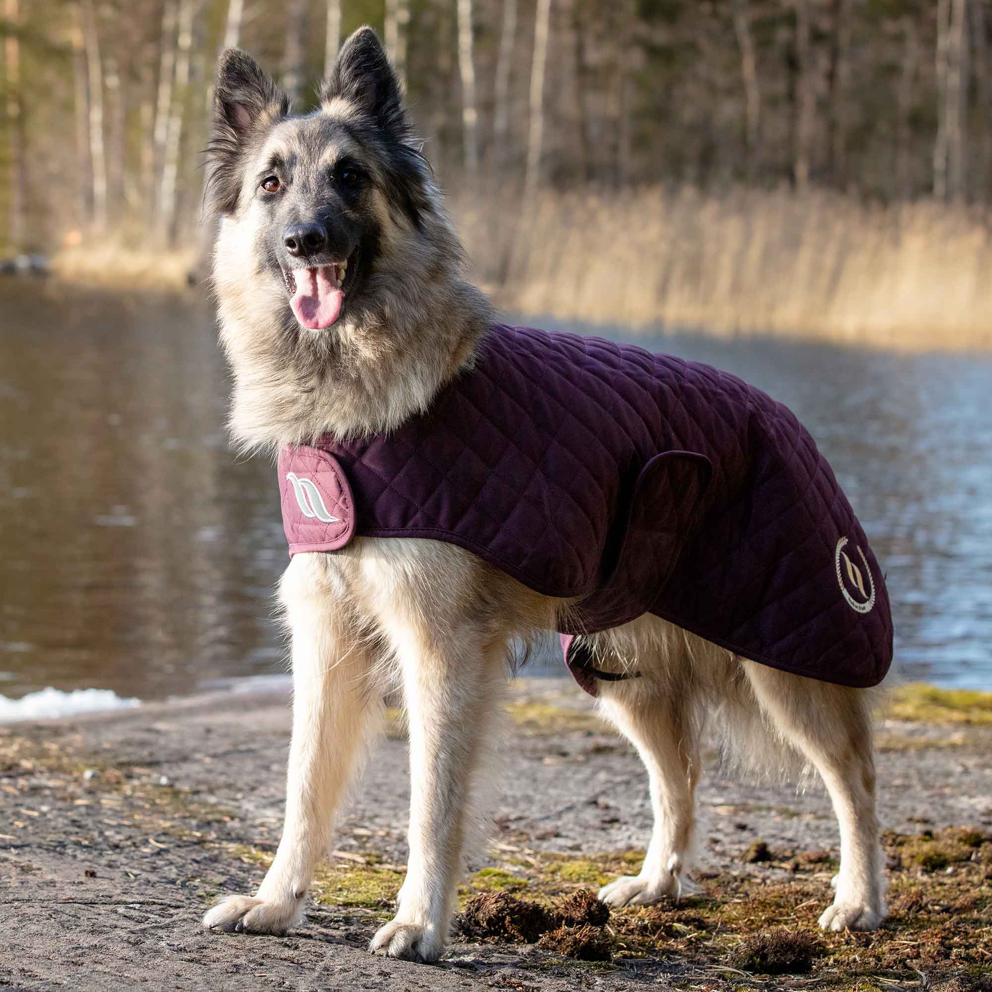 "Nights Collection" Dog Coat - Ruby 20cm