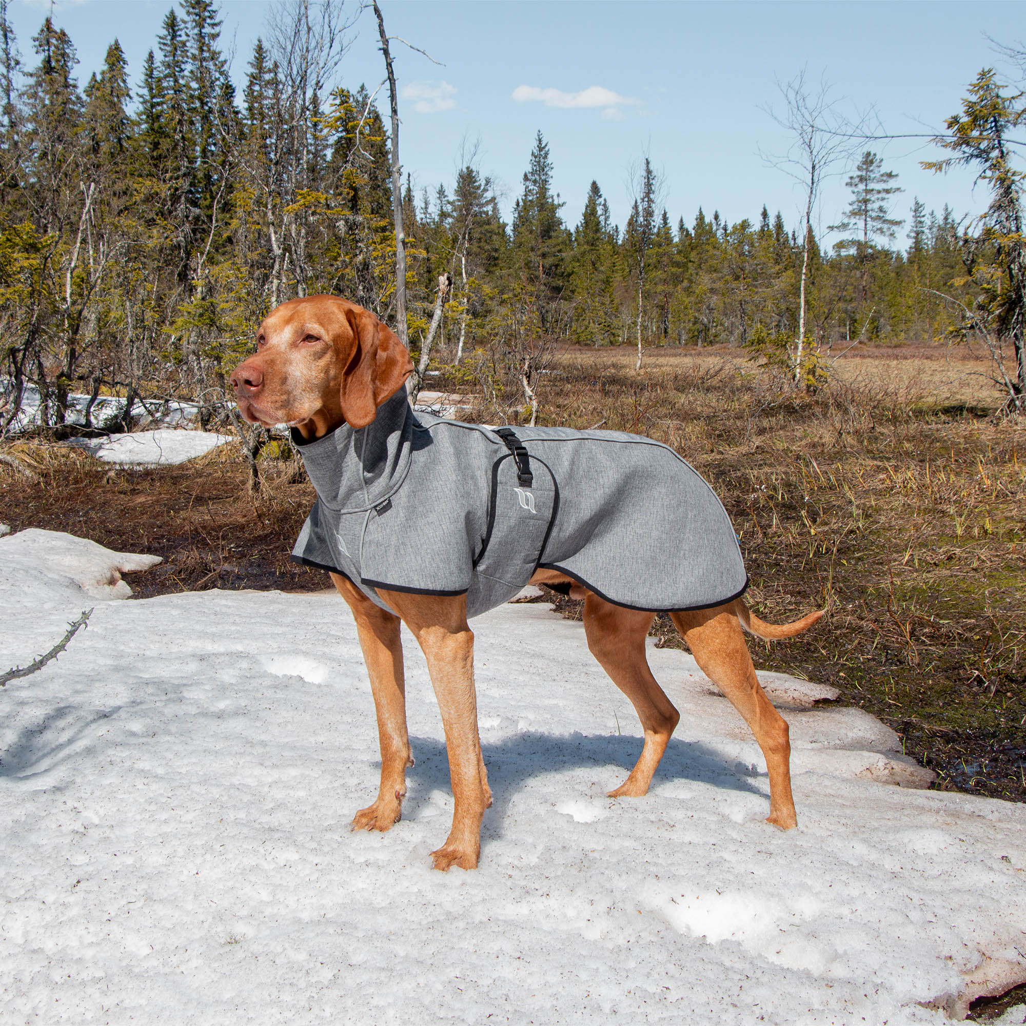 "Nella" All-Round Coat