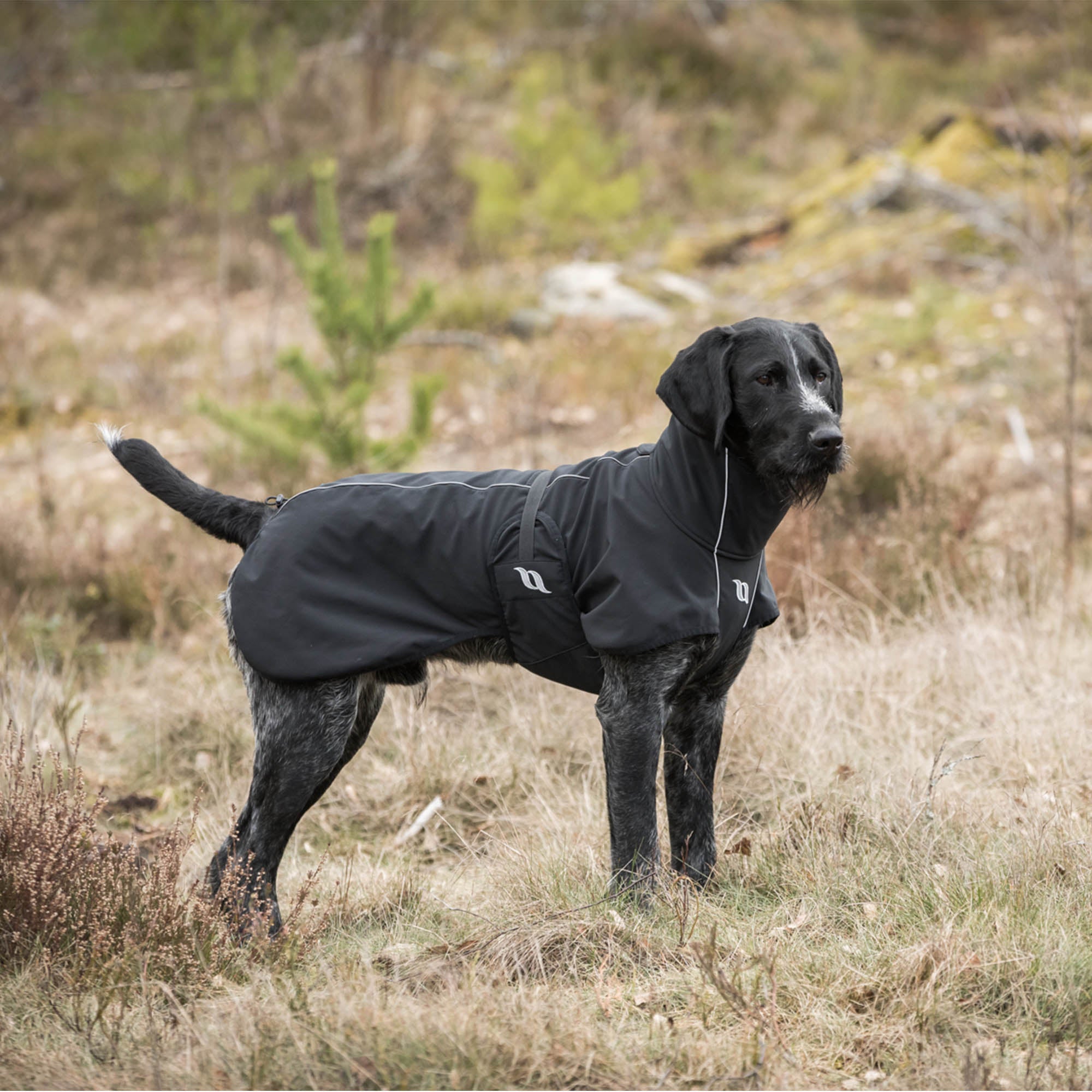 "Bark" All-Round Coat