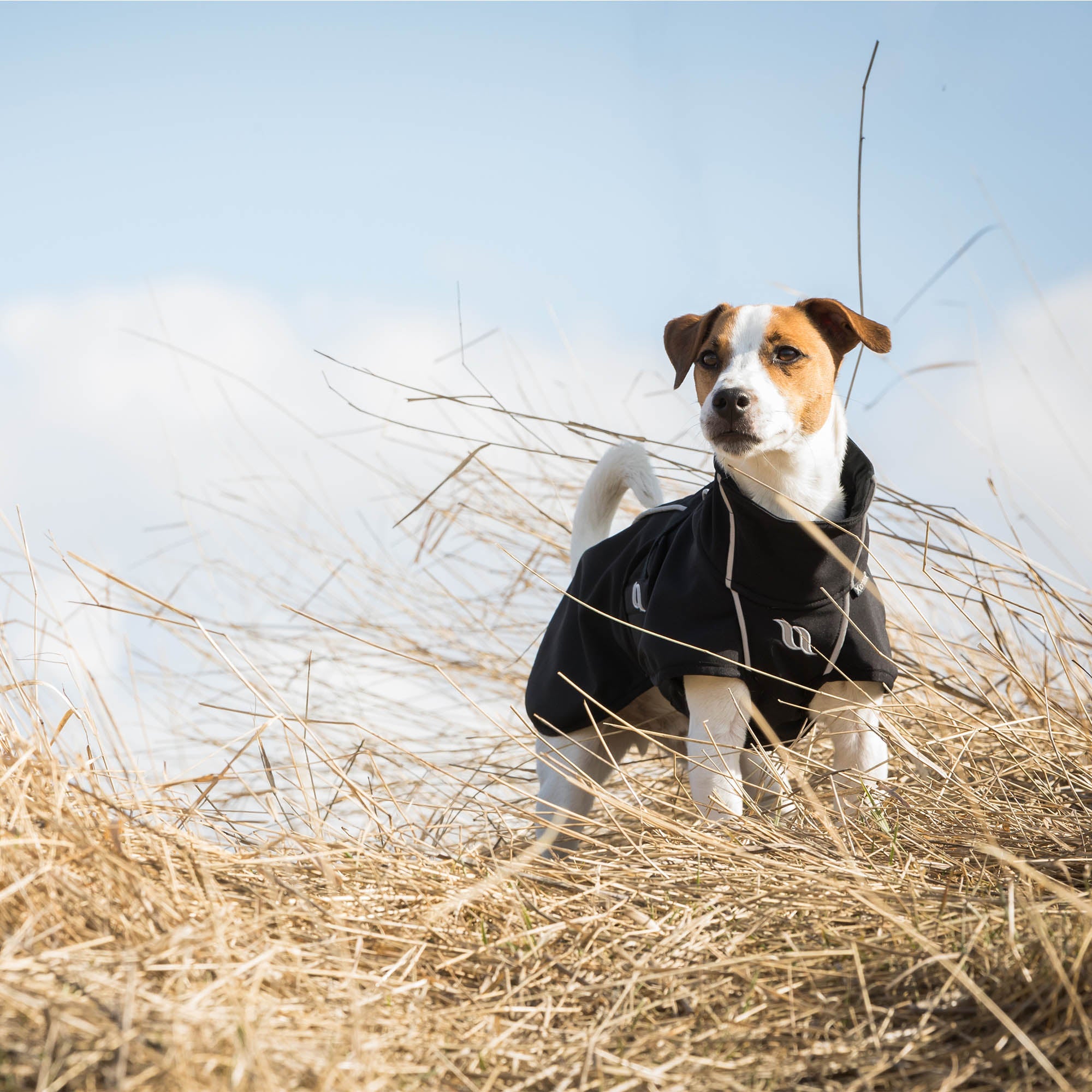 "Bark" All-Round Coat