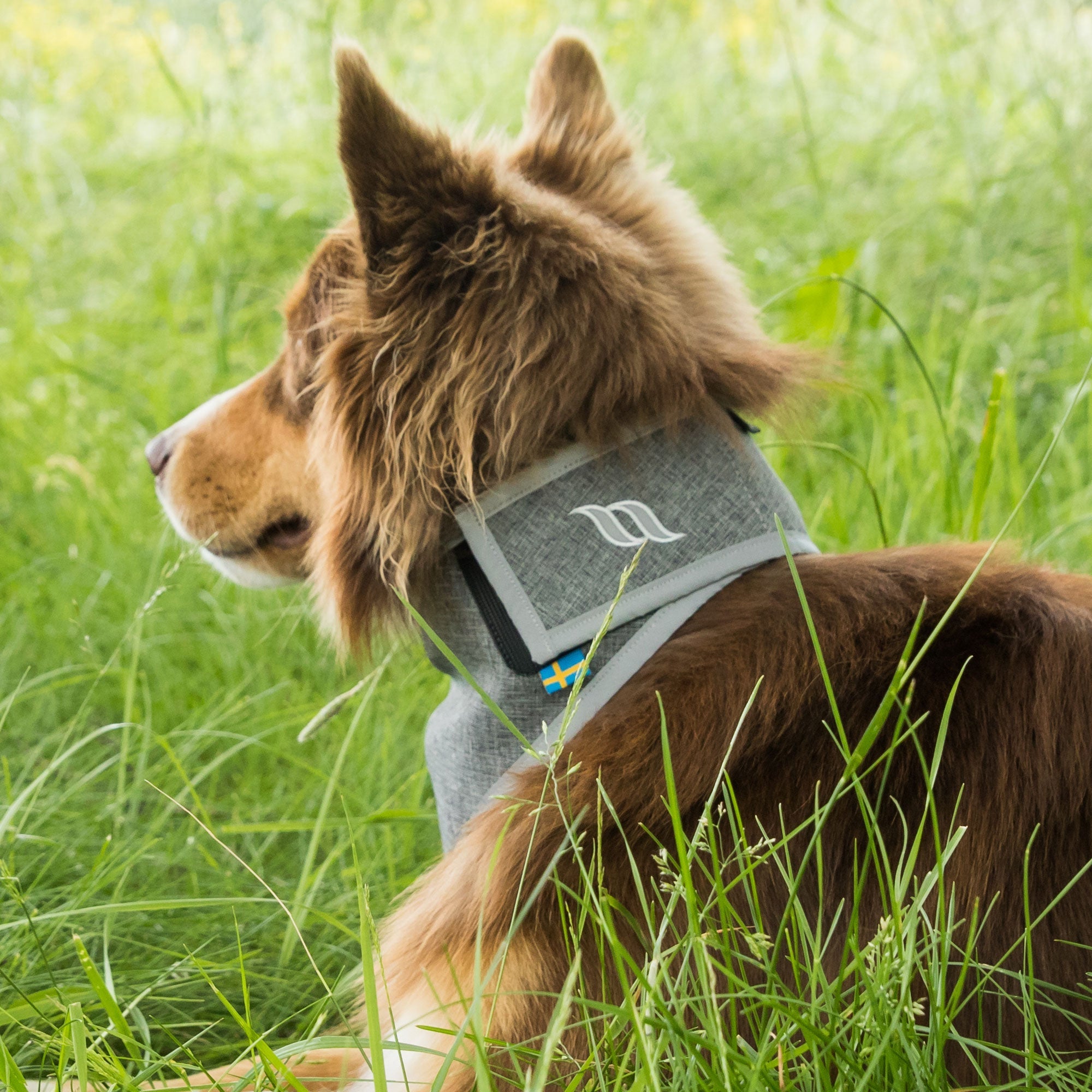 "Draco" High visibility bandana