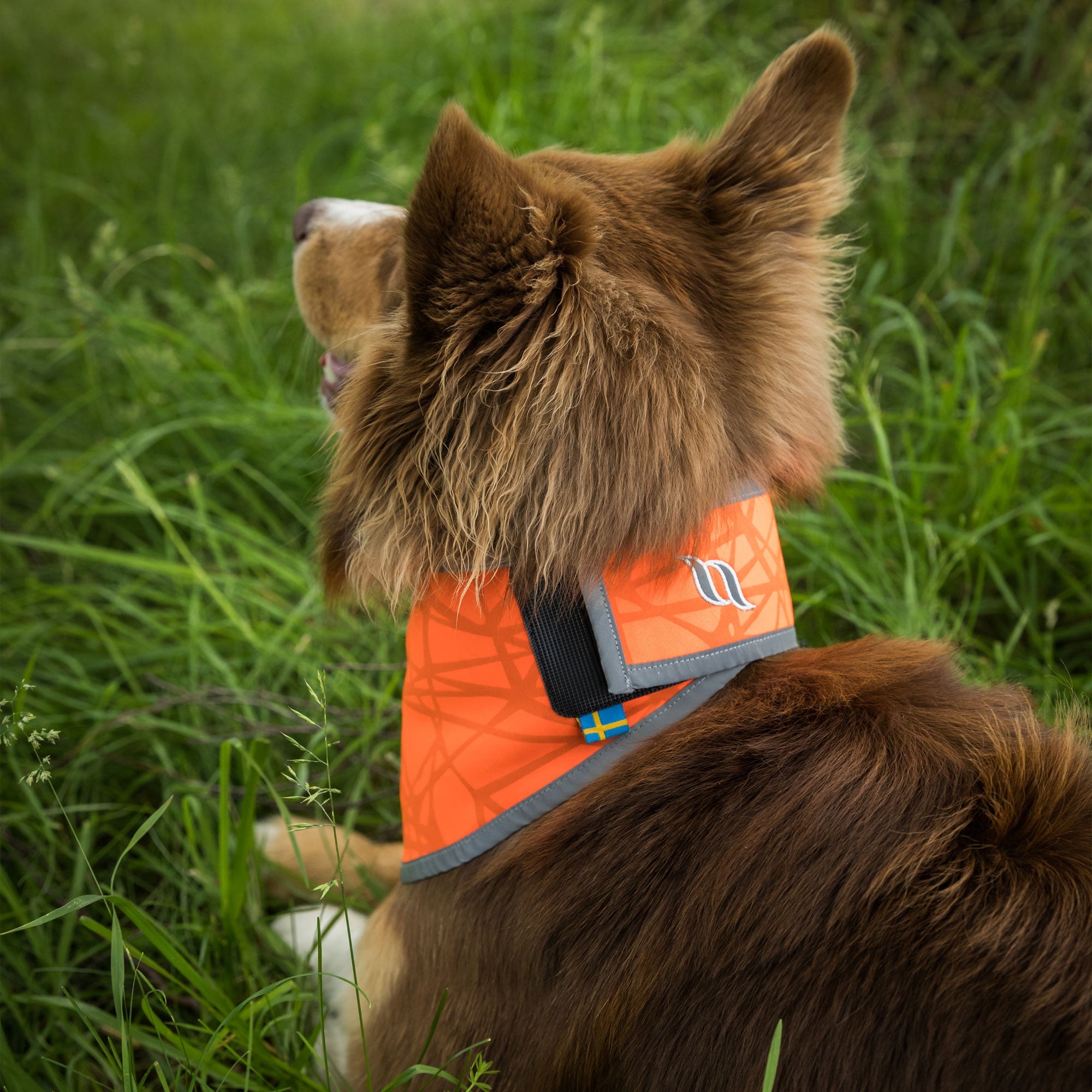 "Draco" High visibility bandana