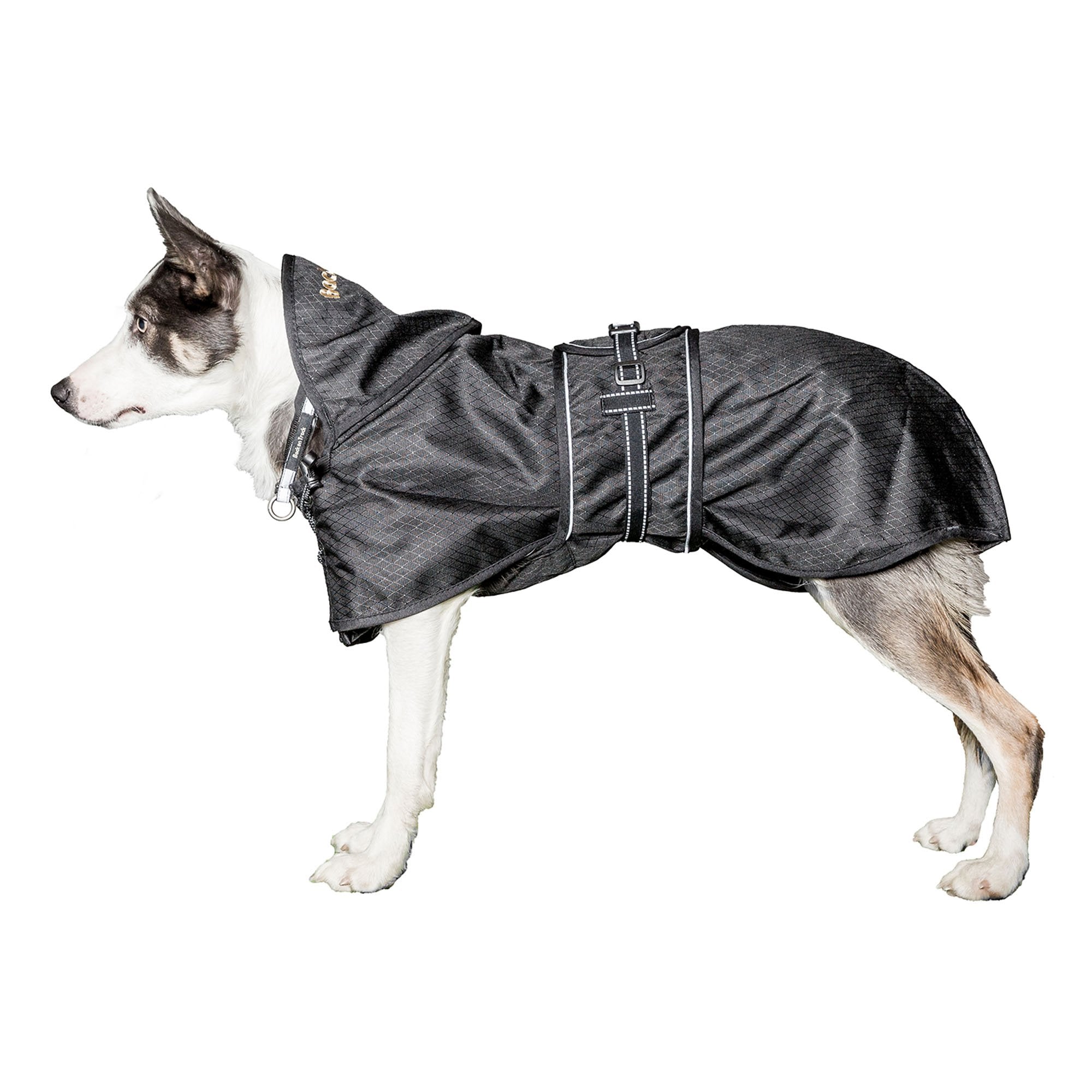 Multi Season Dog Coat (with Filling)