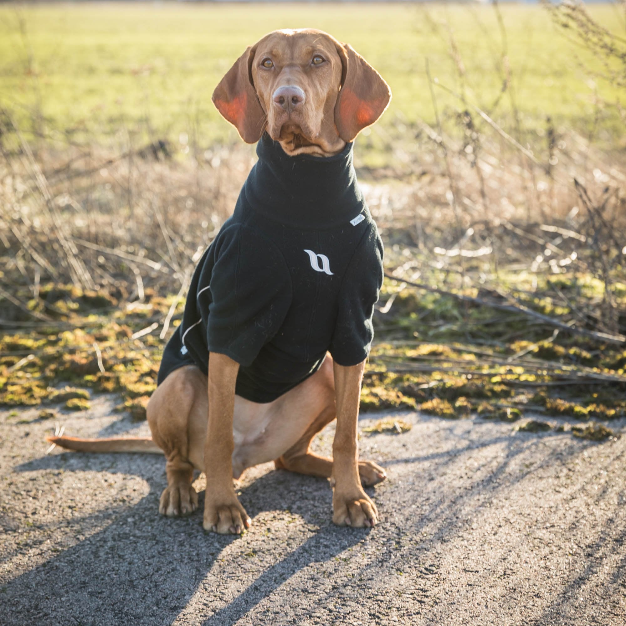"Cassie" All-weather Jumper, no hanger