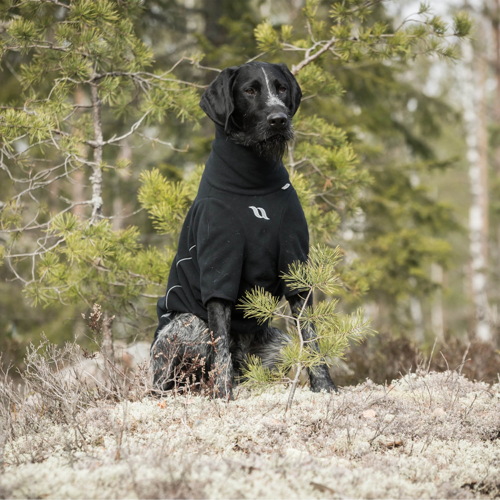 "Cassie" All-weather Jumper, no hanger
