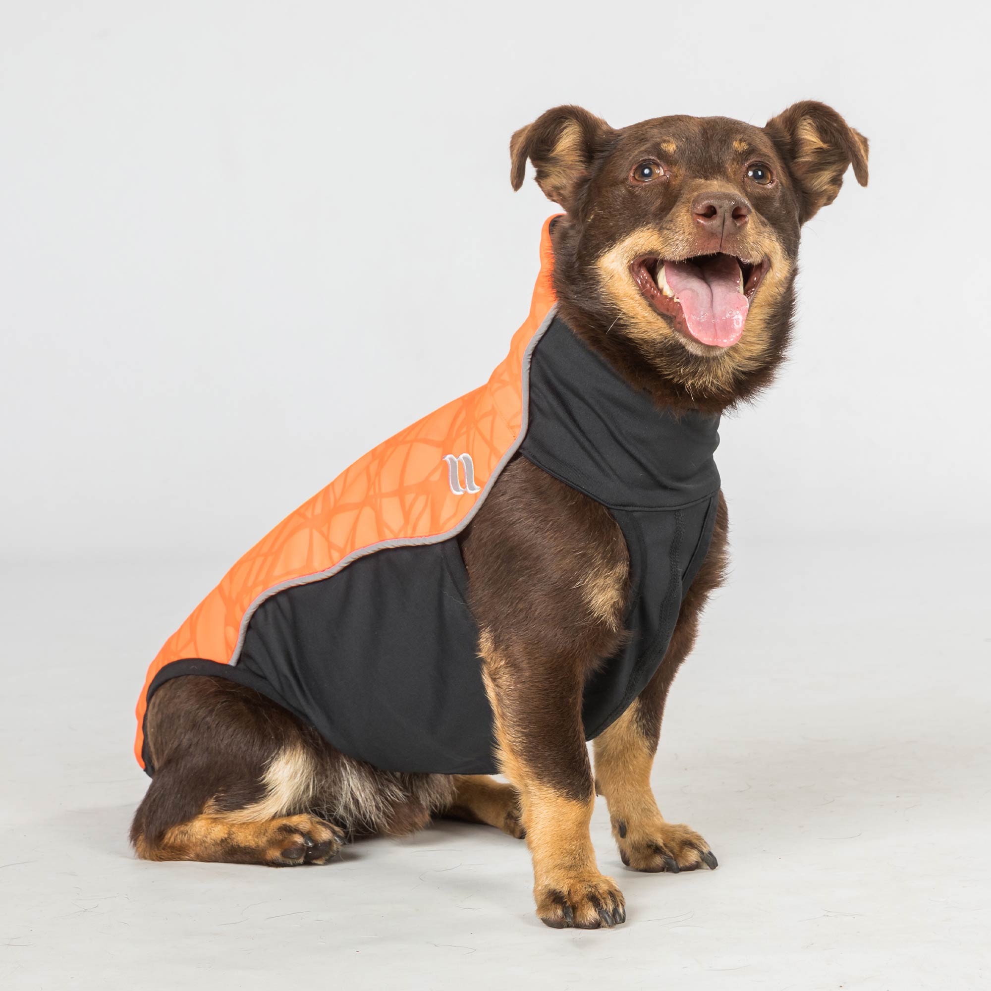 "Eddie" Petite High visibility Jumper, no hanger