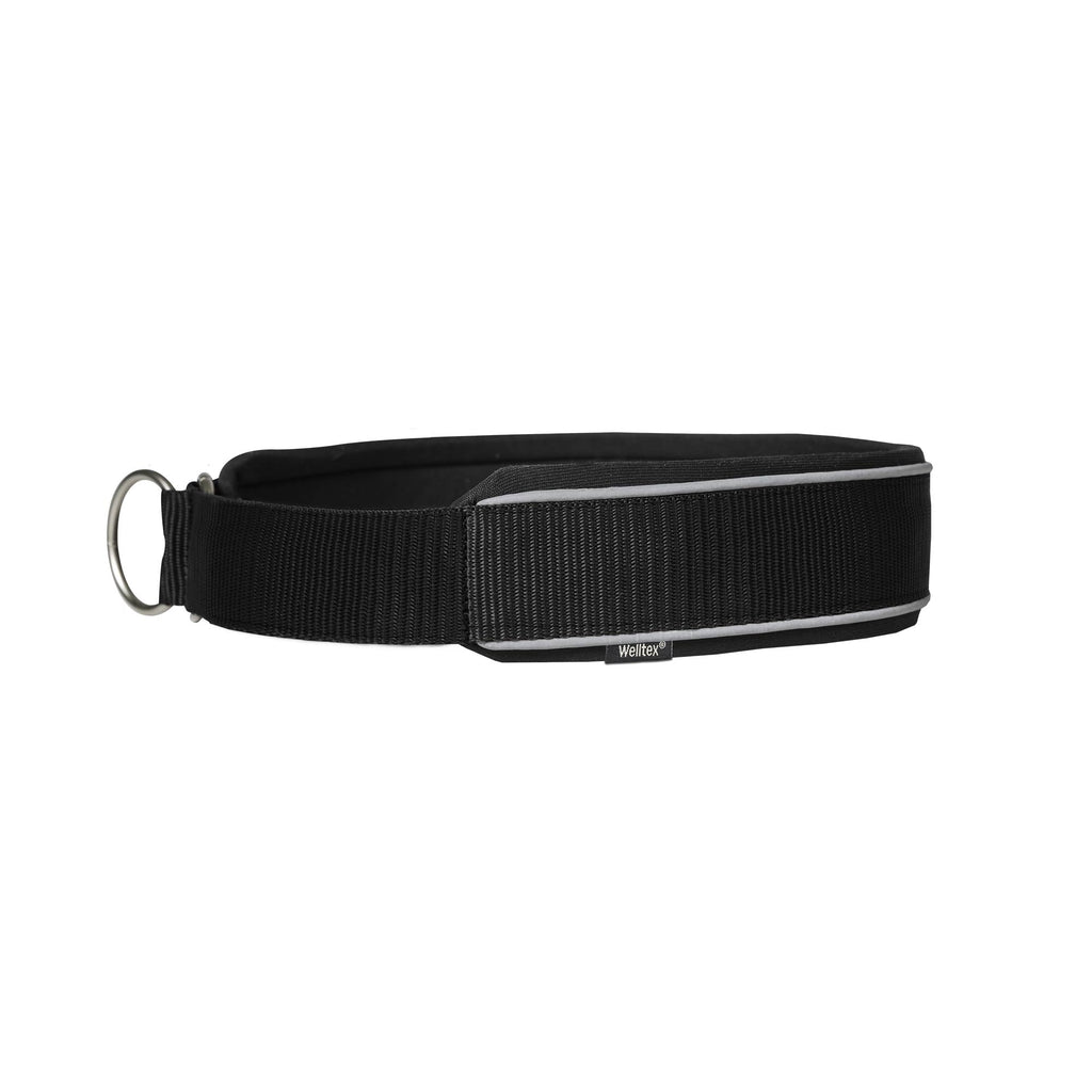 "Charlie" Dog Collar