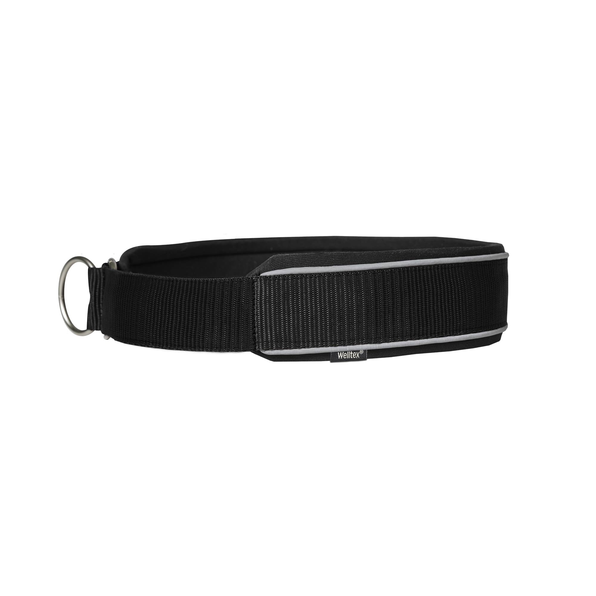 "Charlie" Dog Collar