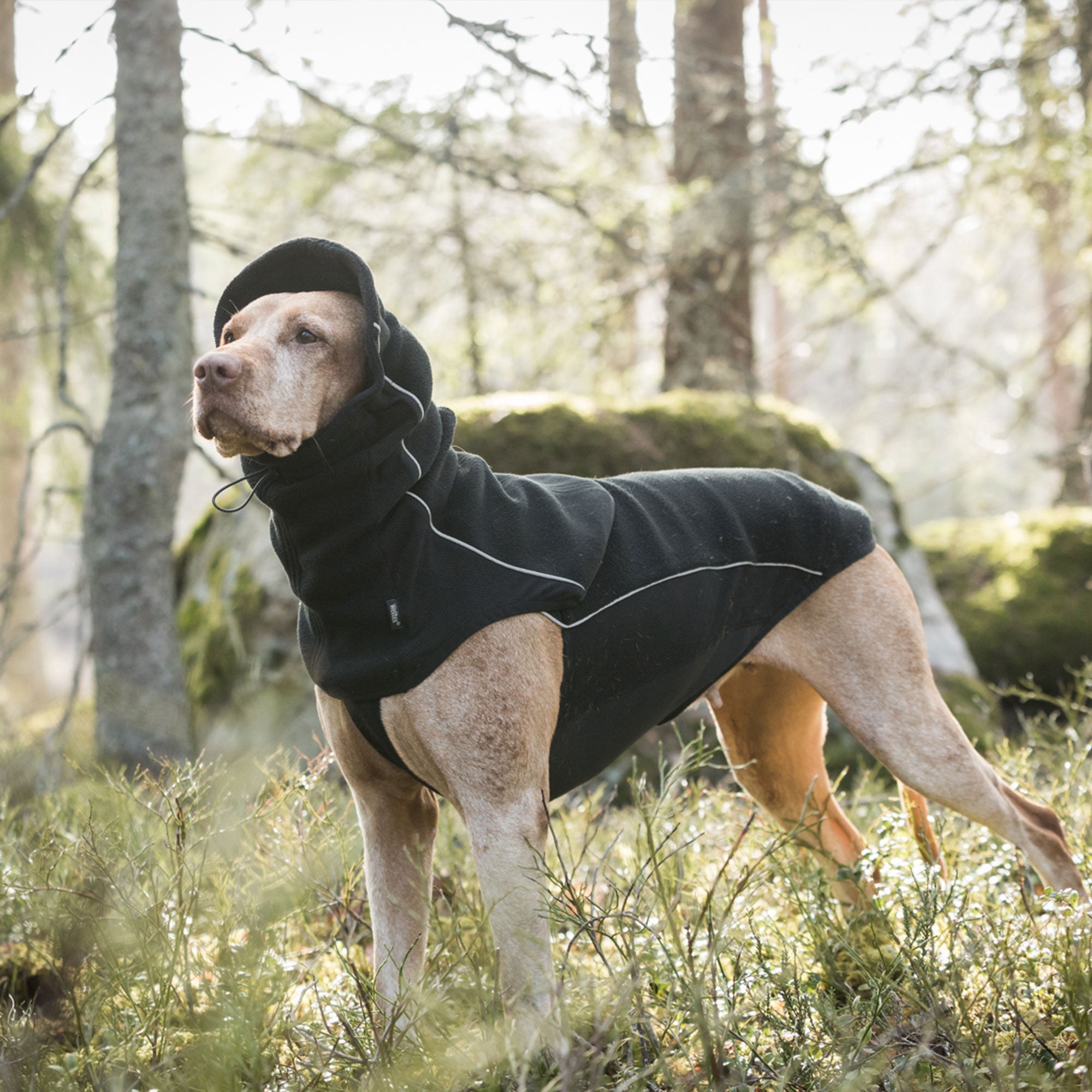 "Benji" Neck Warmer