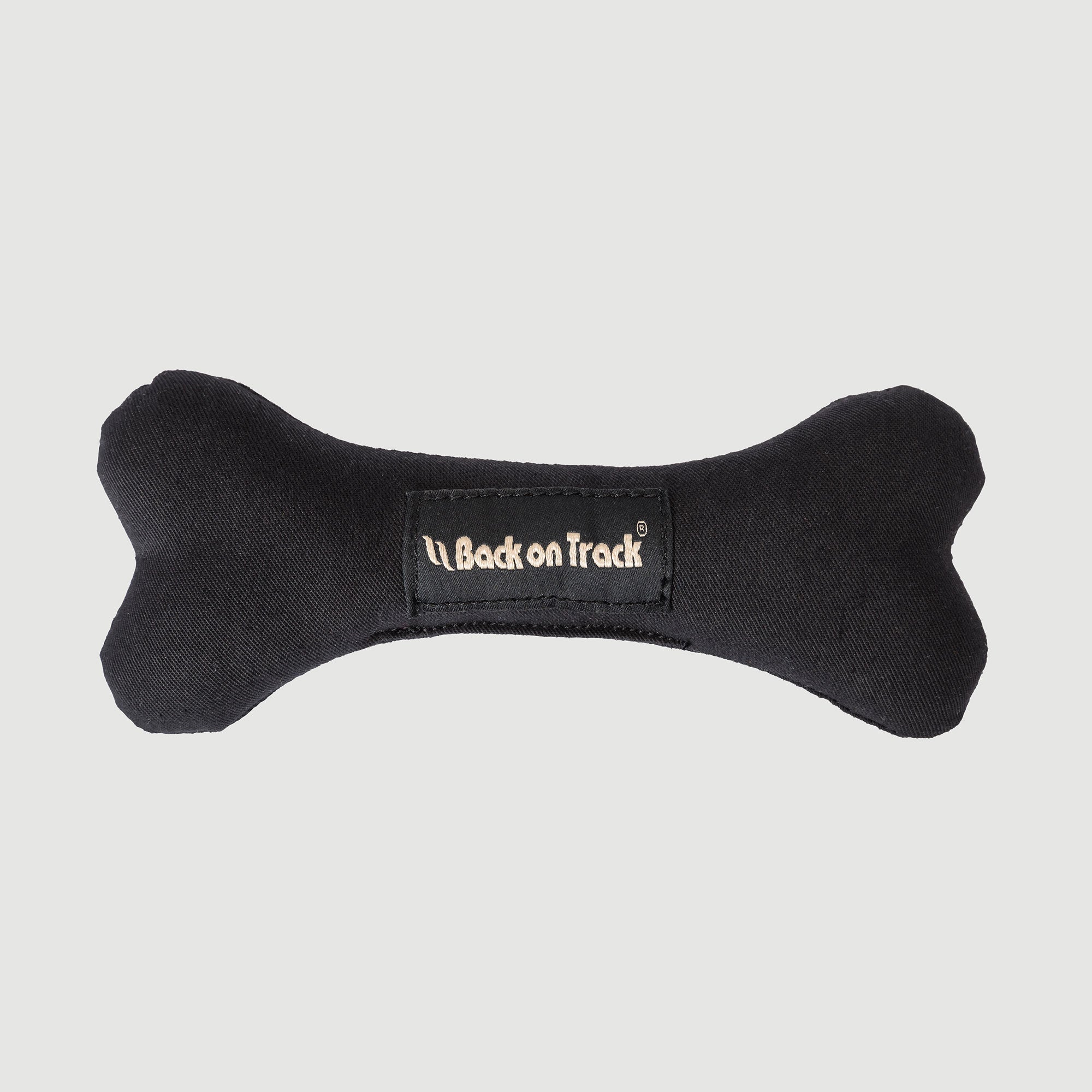 Dog Toy Bone