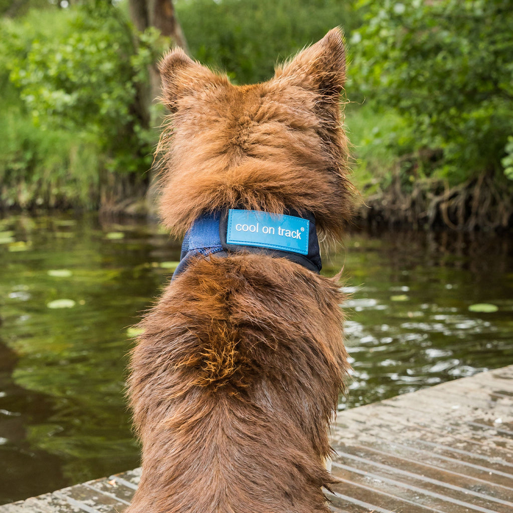 Cool on Track - Cooling Bandana