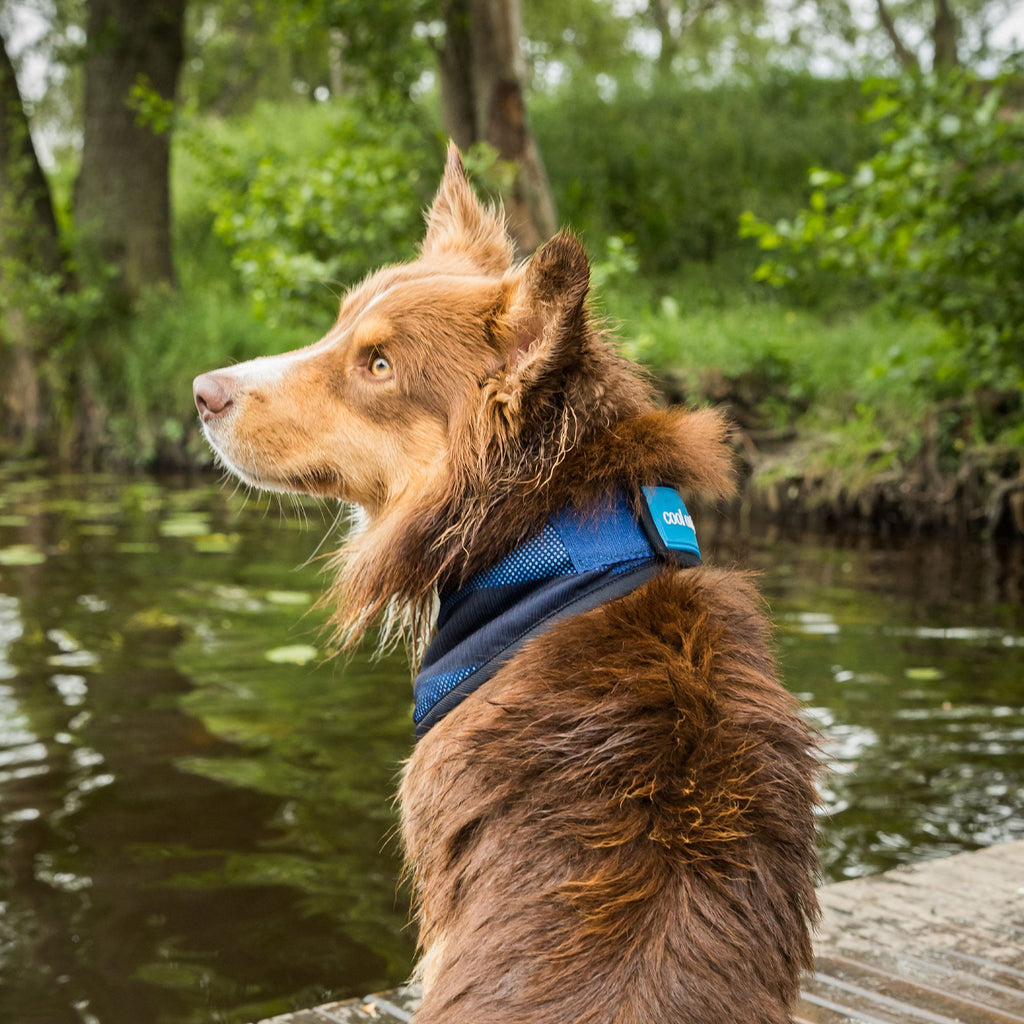 Cool on Track - Cooling Bandana