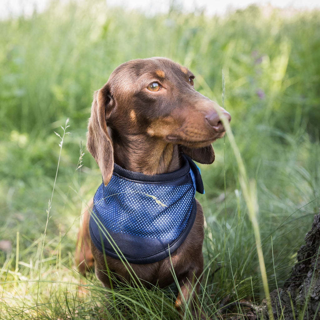 Cool on Track - Cooling Bandana