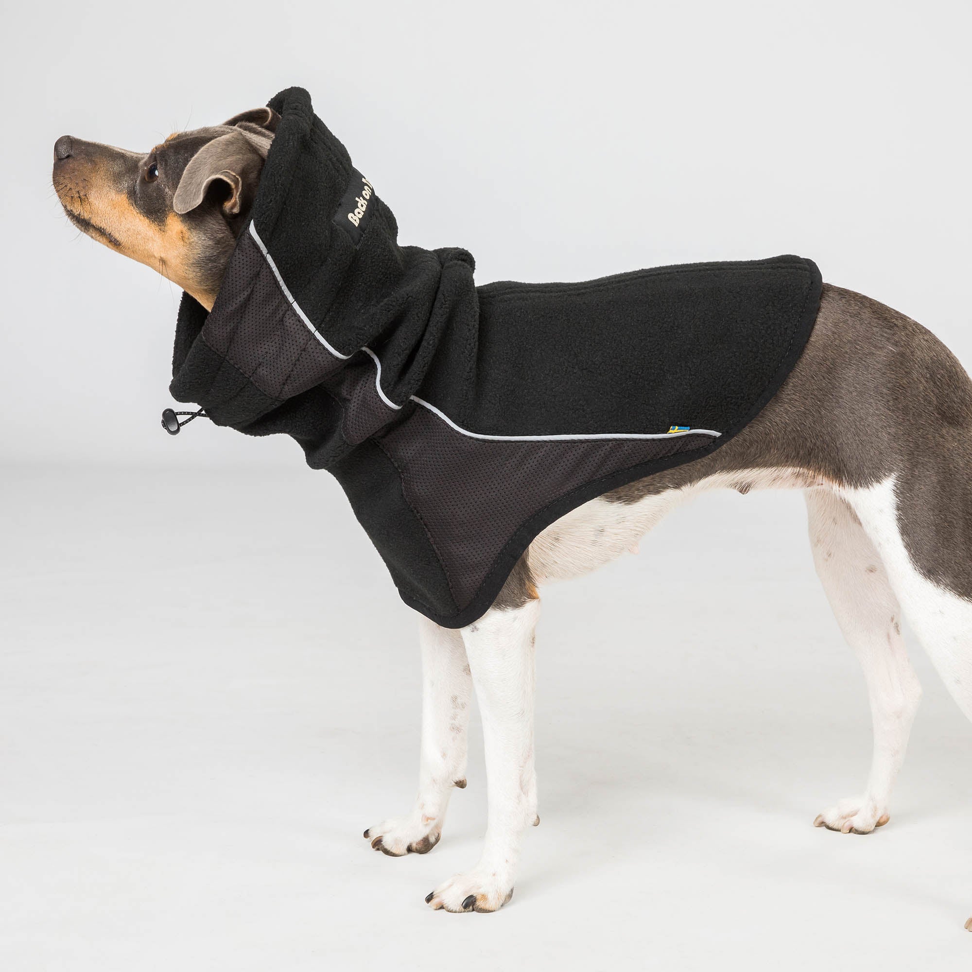 "Benji" Neck Warmer