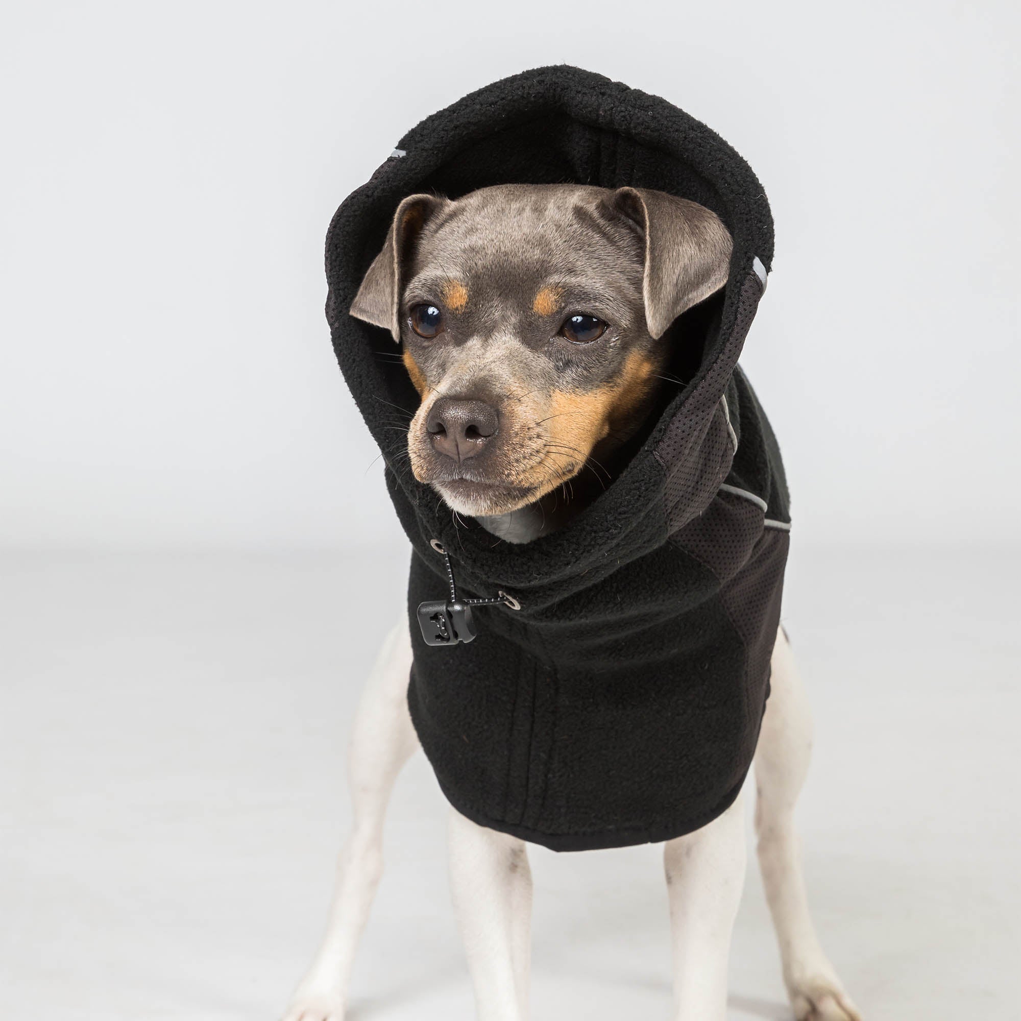 "Benji" Neck Warmer