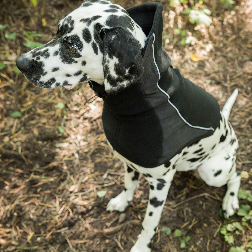 "Benji" Neck Warmer