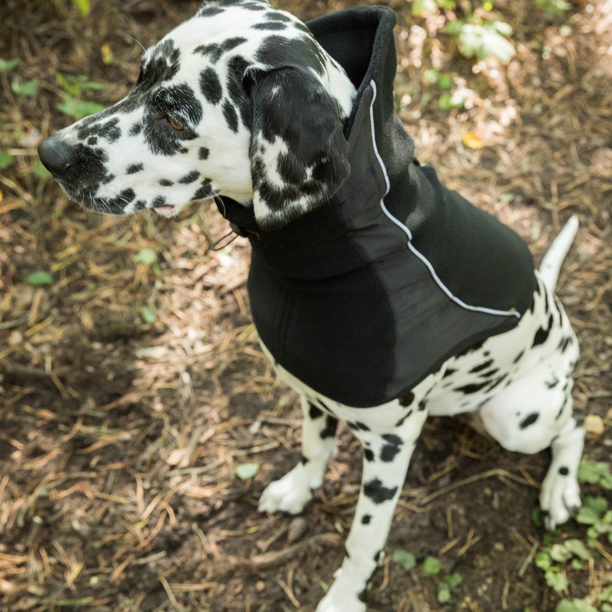 "Benji" Neck Warmer