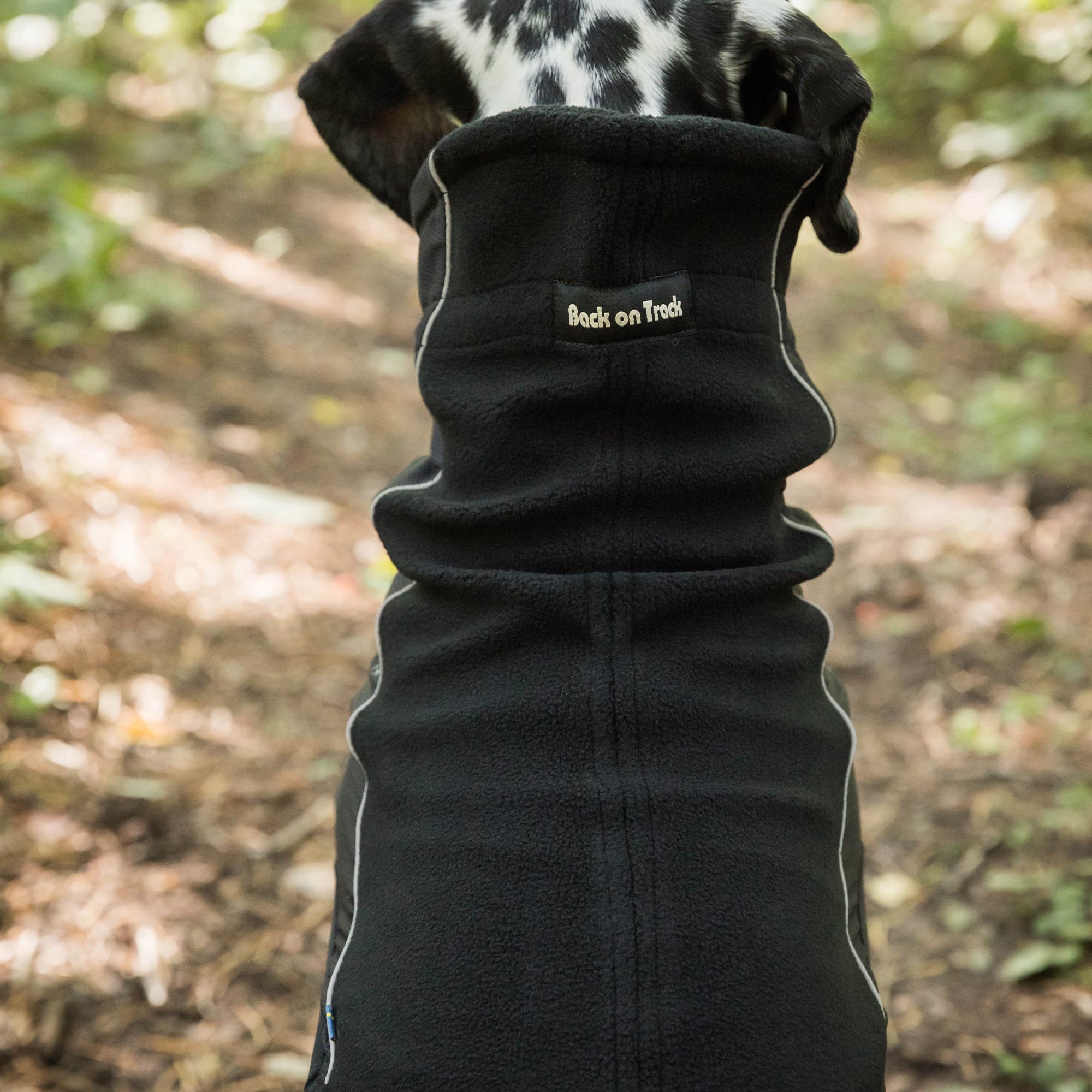 "Benji" Neck Warmer