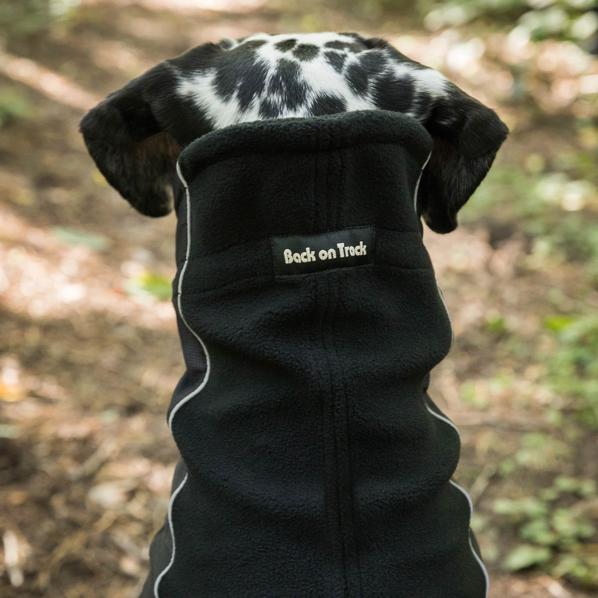 "Benji" Neck Warmer