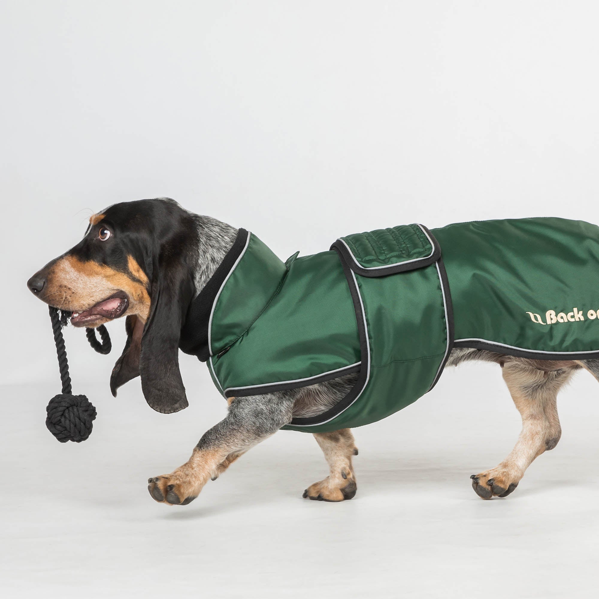 "Buddy" long dog coat