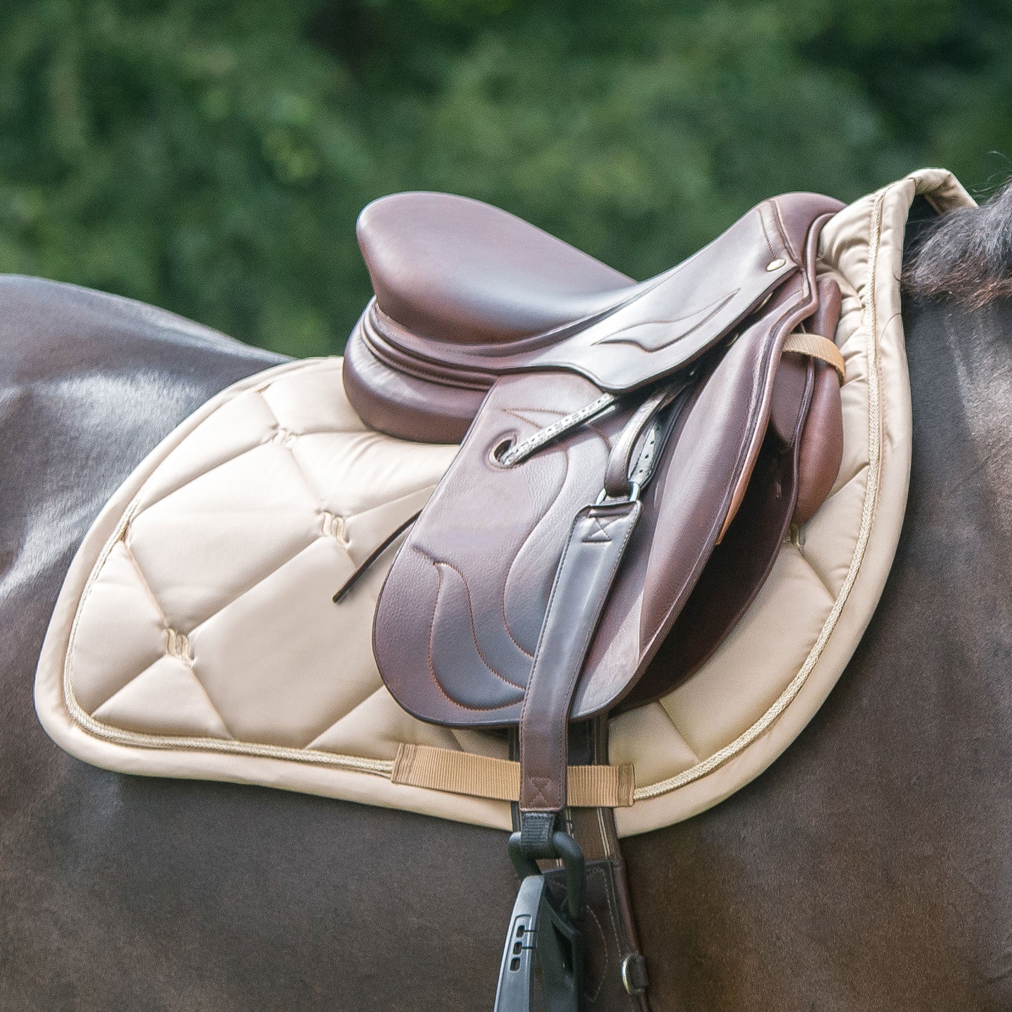 "Nights Collection" Saddle Pad Jumping Champagne