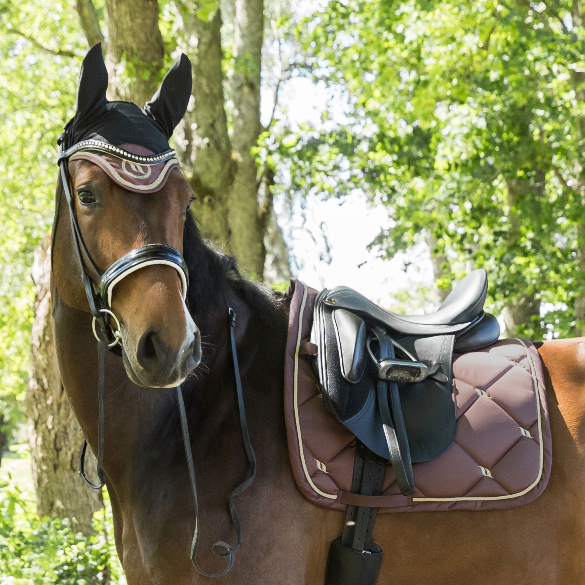 "Nights Collection" Saddle Pad Dressage Coffee