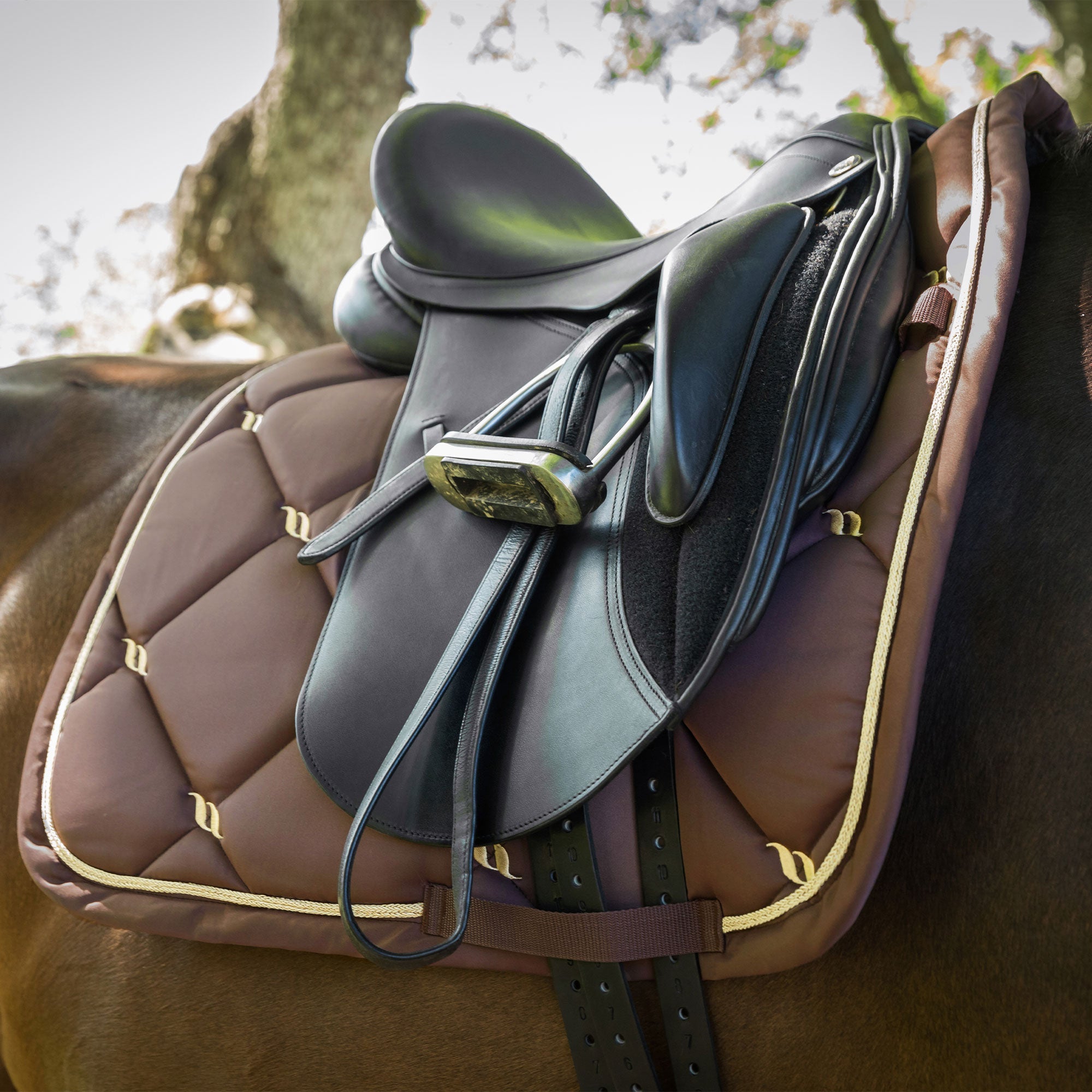 "Nights Collection" Saddle Pad Jumping Coffee